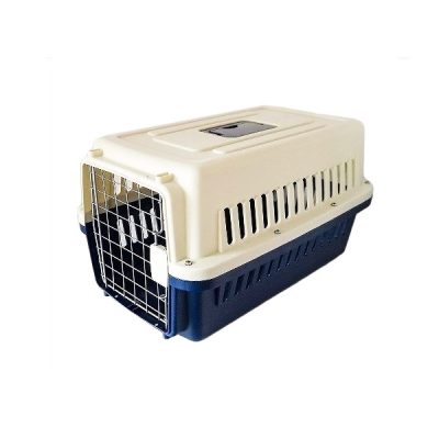 TOP 7 Phụ Kiện Cần Thiết Cho Chó Mèo Mà Bạn Không Thể Bỏ Qua