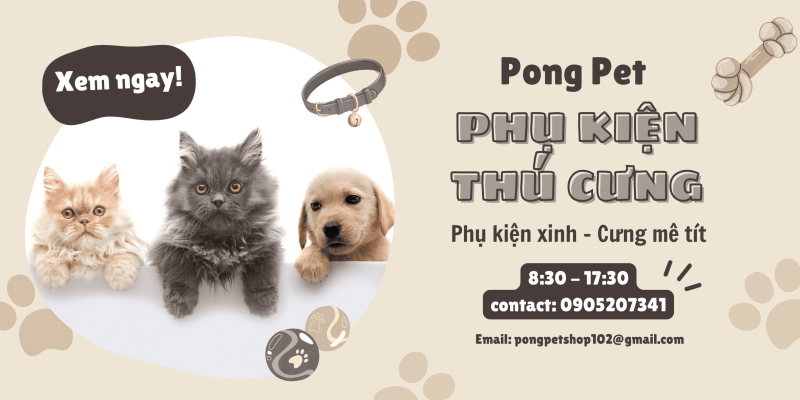 Khám Phá Shop Phụ Kiện Thú Cưng Được Yêu Thích Nhất Hiện Nay – Thiên Đường Mua Sắm Cho Pet