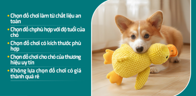  Top Đồ Chơi Cho Chó Giúp Giải Trí, Vận Động Và Giảm Stress Hiệu Quả Nhất 2025