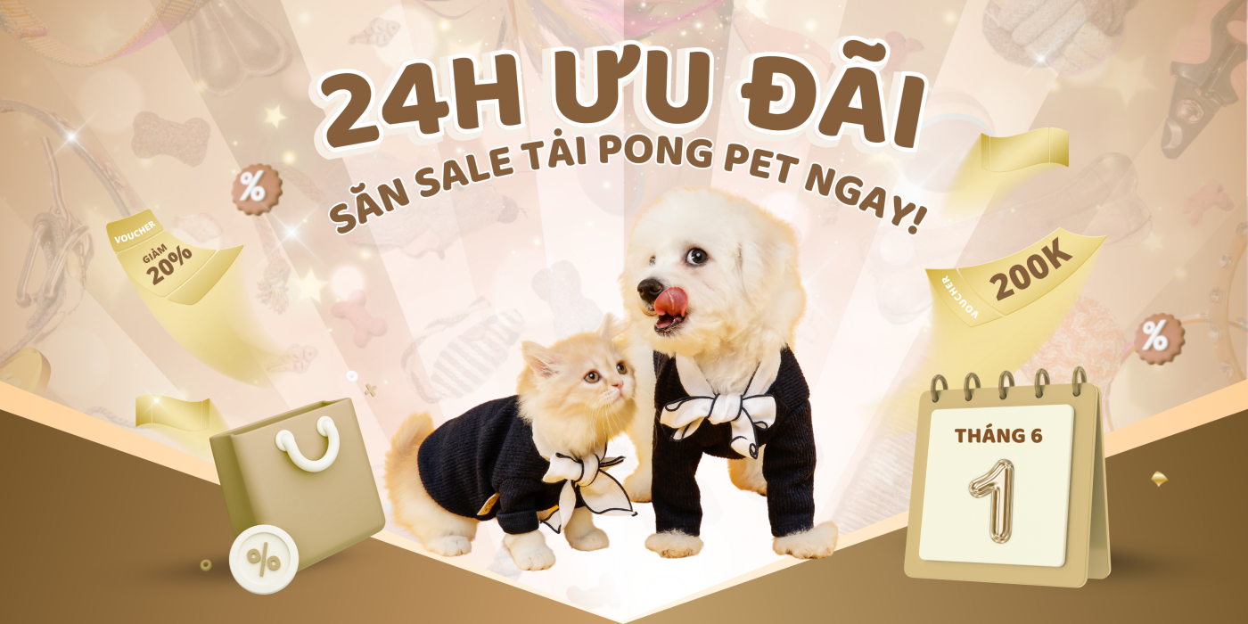 săn sale 24h pong pet