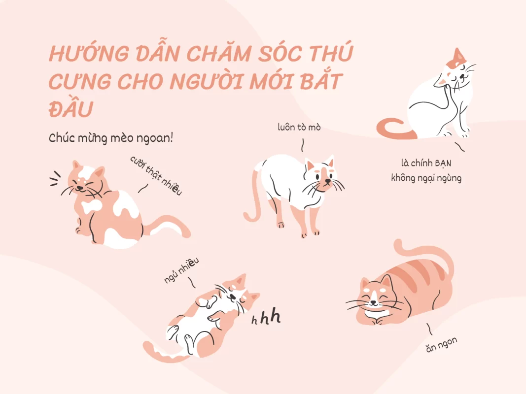 mẹo hay nuôi thú cưng