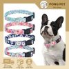 z6685118909344 edbcb94177692ffbd2c2a0fd6f16197a Vòng Cổ Chó Hoa Văn Cute – An Toàn, Bền Đẹp, Thời Trang